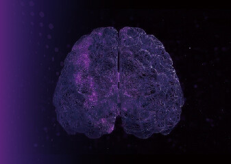 How Stereo-seq Enables Next-Generation Neuroscience Research